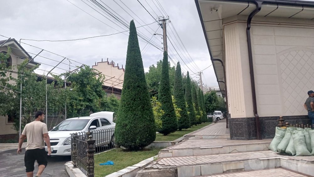 Archa kesish va Gazon ikkish dorilash xizmati