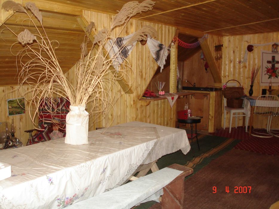 Vila Orsova de vanzare