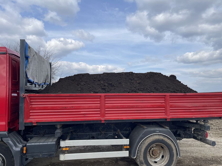 Pamant negru de flori vegetal Bucuresti si Ilfov