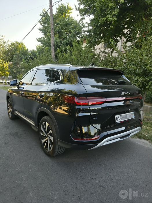 BYD Chempion Gibrit 150 Full 2025/2026 Официальный Краскаси тоза идеал