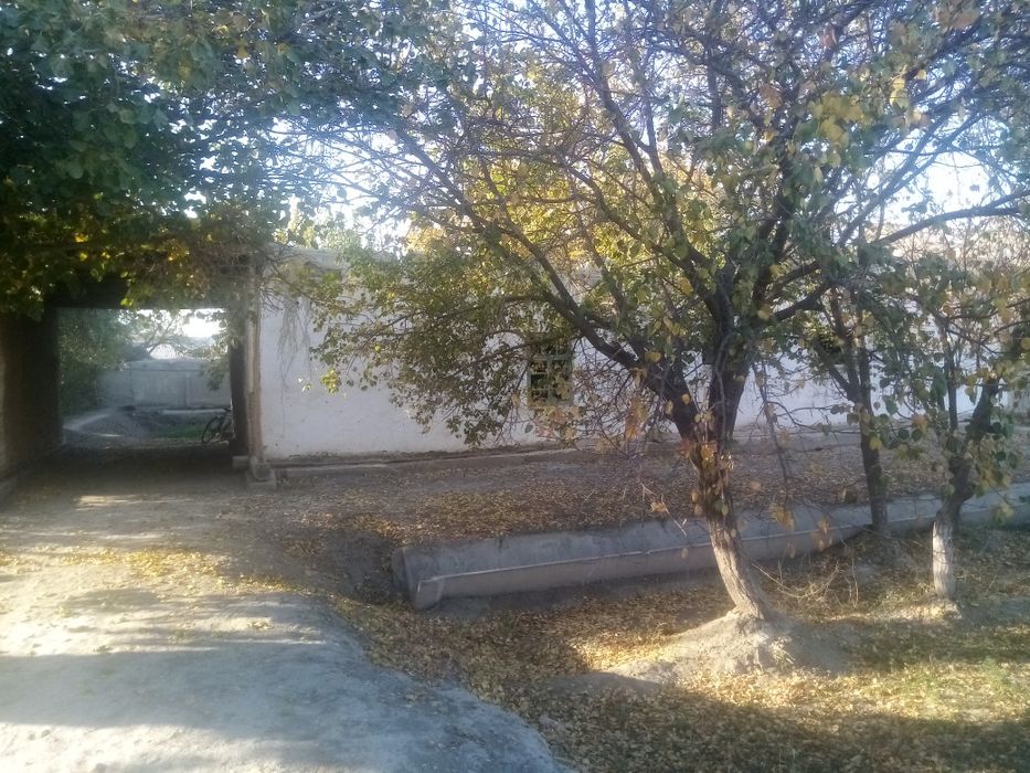 Usti yopilgan uchaska sotiladi 12 so'tiq narxi kelishiladi