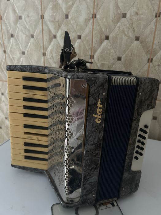 Acordeon variata veche