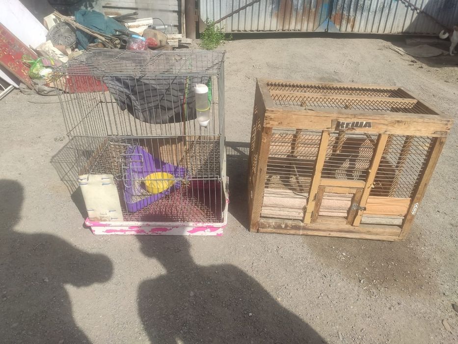 Клетка для птиц или хорька