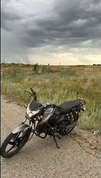 Shark 125        .