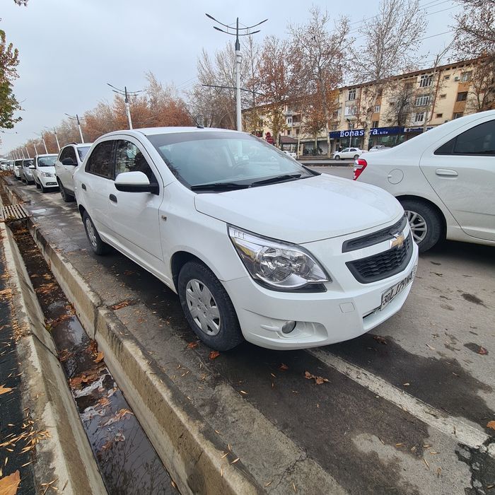 Cobalt mexanika 2019