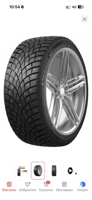 Шины зимние Triagle