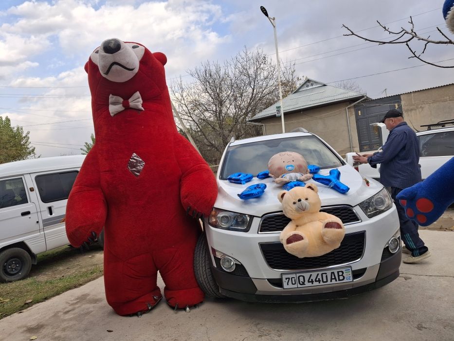 Ayiq sotiladi Srochna 600ming