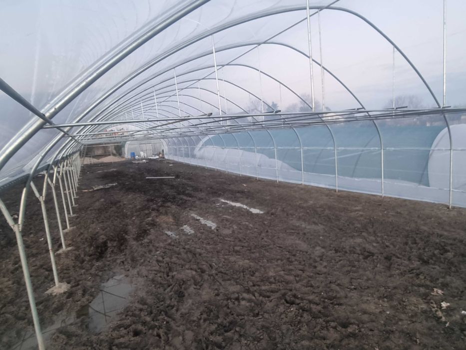 Solarii gradina