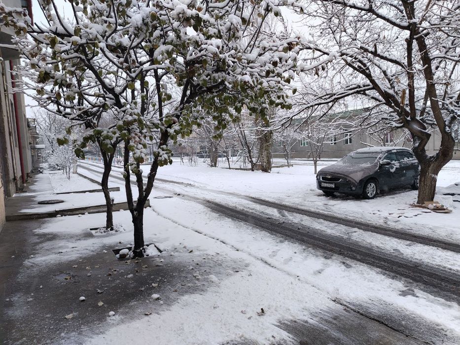 Uy sotiladi.koʻchmas mulk.