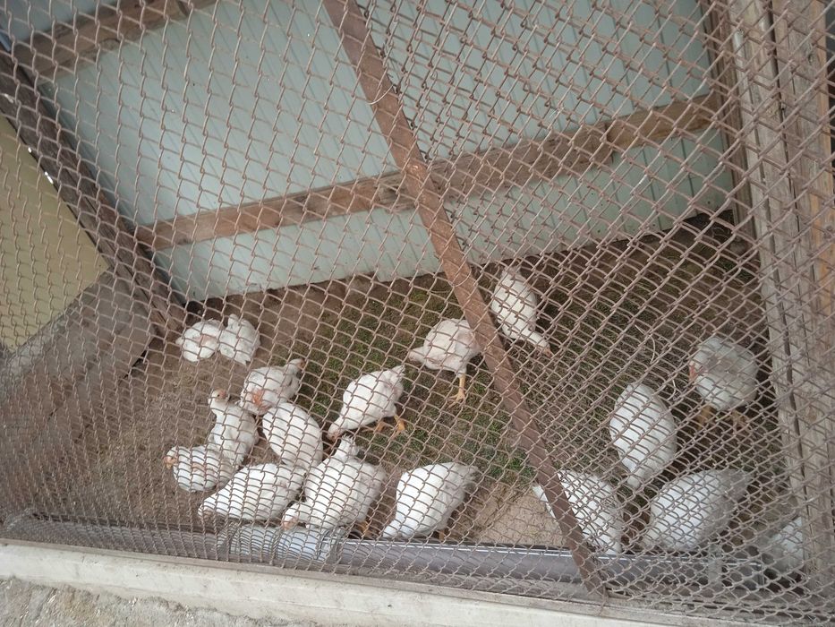 Мансард үй сатылады