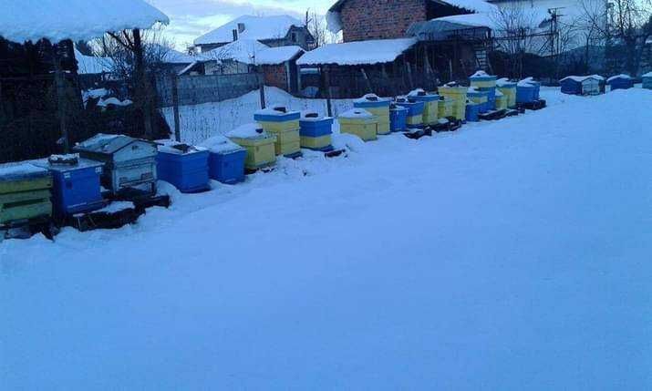 Продава се Парцел в с. Боровци, Област Монтана - 790 кв.м за 16 €/кв.м - Снимка #12