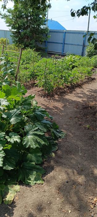 Продам дом с.Архангельское
