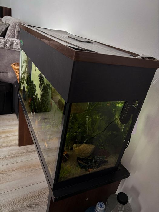 Vand acvariu facut pe comanda 60-70L, COMPLET