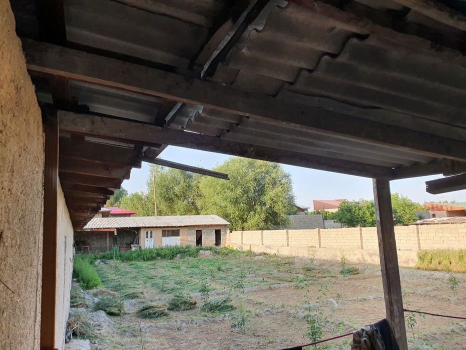 Molxona , ferma sotiladi