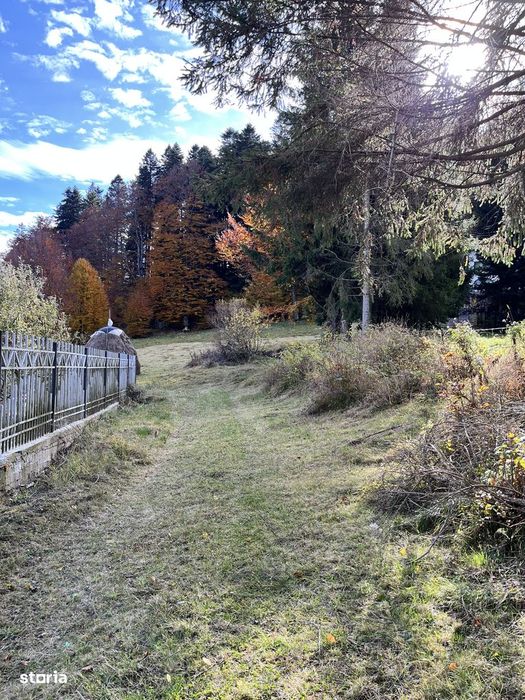 De vânzare teren Intravilan Bușteni