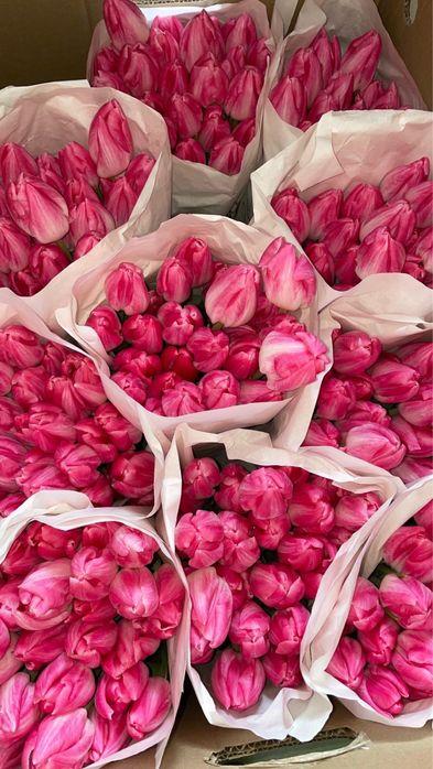 Например Цветыыы