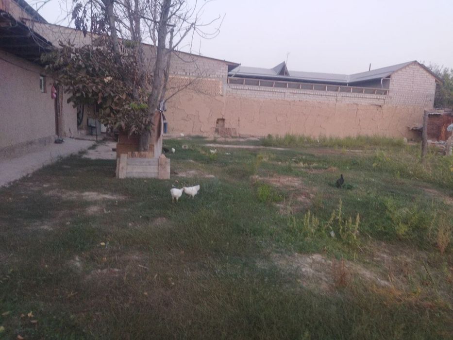 6сотка ер сотилади