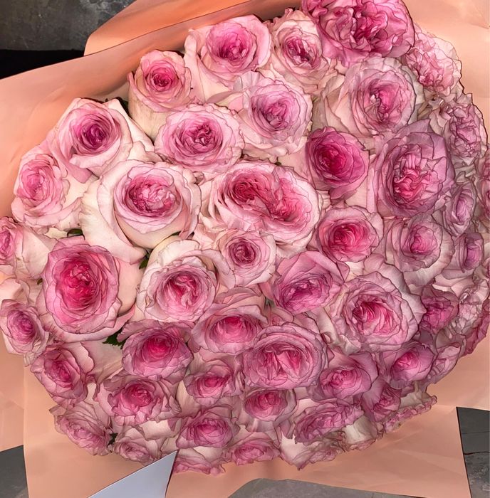 Букет из розы 51 шт,свежие