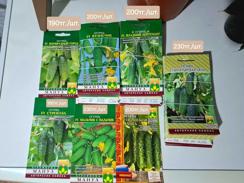 Продаю семяна огурцов!