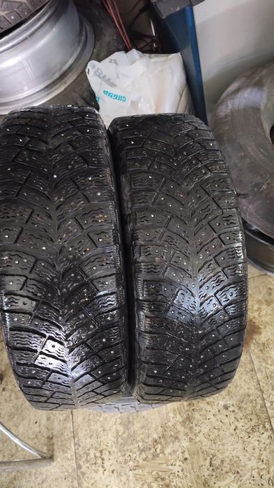 Две Шины мишлензима