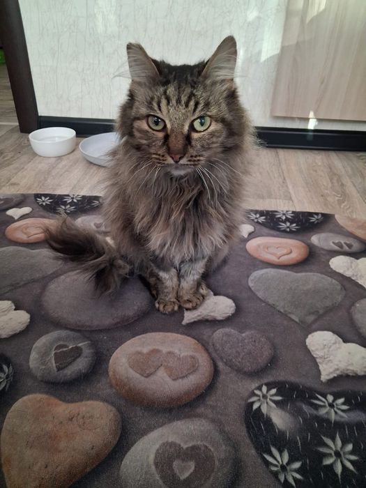 Была с пасена в морозы. В добрые руки