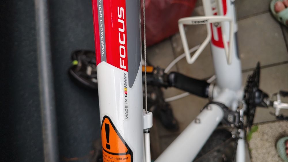 Focus Black Rider Sport Series
