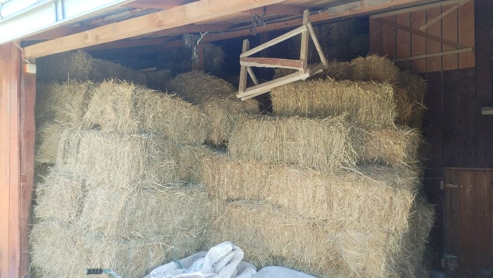 Vand baloti lucerna, fan