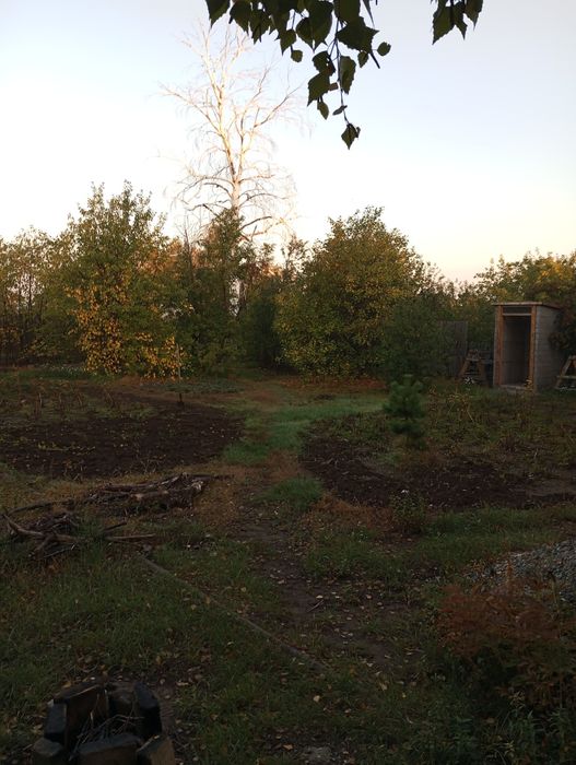 Продам дачу сад здоровье