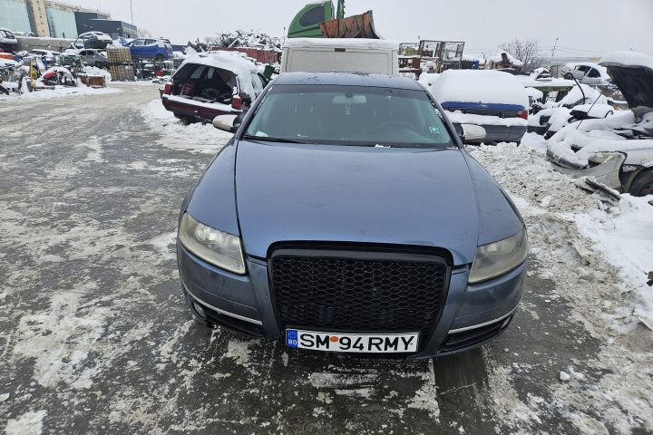 Usa / Portiera spate stanga Audi A6 2007 2.7 TDI multitronic (180 hp)