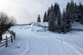 Închiriem cabană de revelion la munte în Mărișel