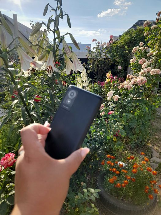 Vand telefon nou,TCl 501