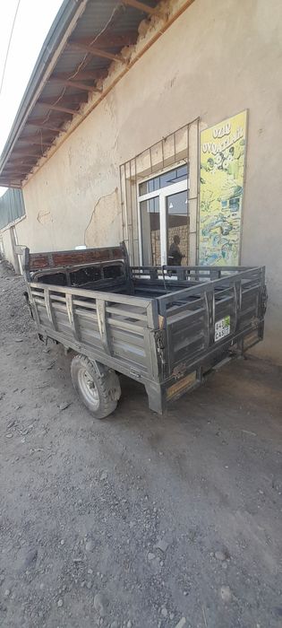 Продается муравей