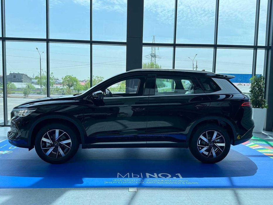 BYD Song Pro dm-i champion