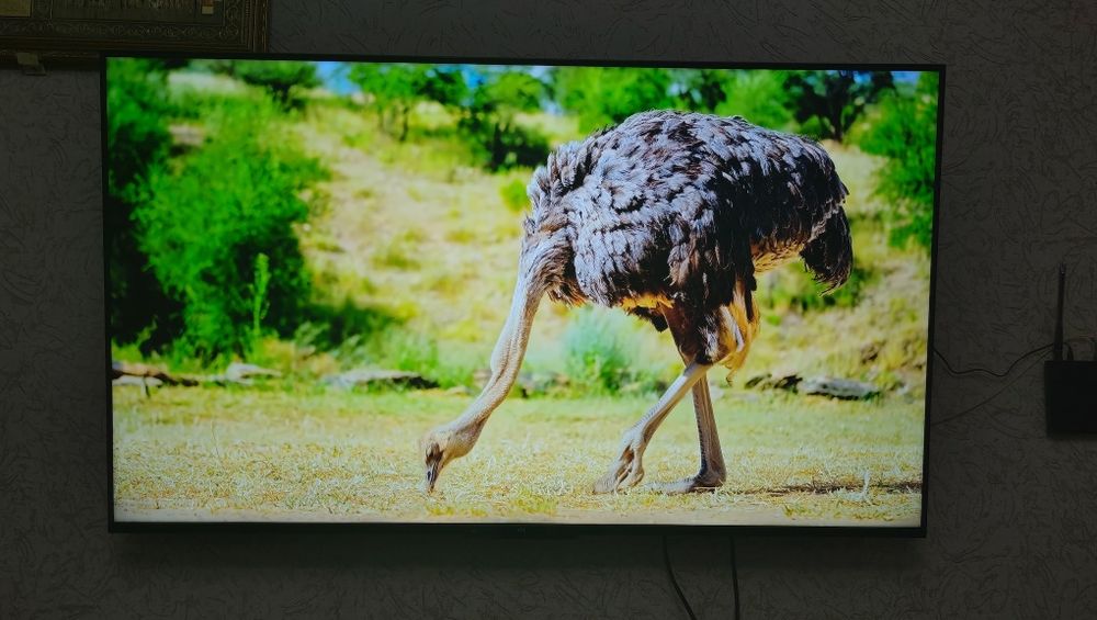 Телевизор xiaomi tv 4k 55