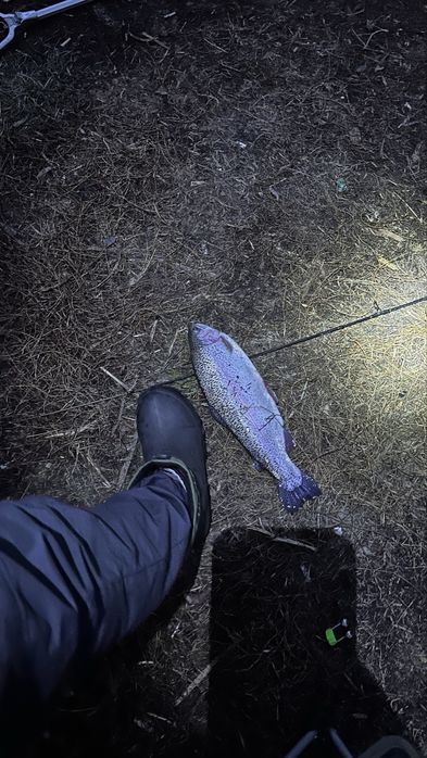 Продам Кораблик прикормочный Boatman gps эхолот