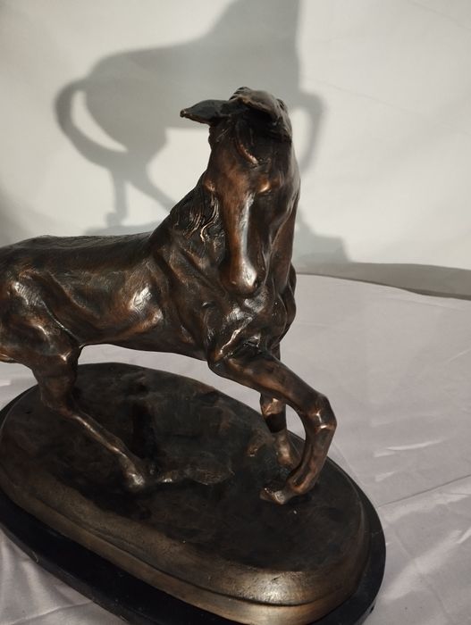 Cal***bronz ***soclu***Marmura