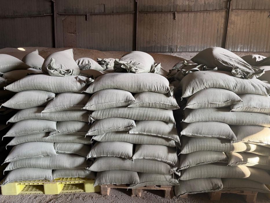 Корм доя животных оптом