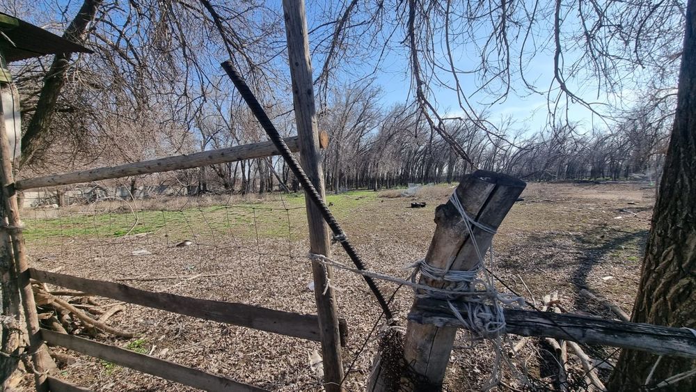 Продается фазенда