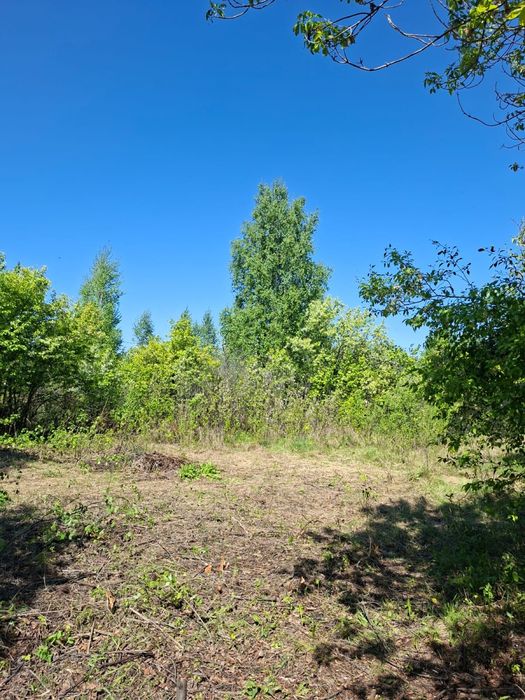 Продам дачу СО «Динамо»