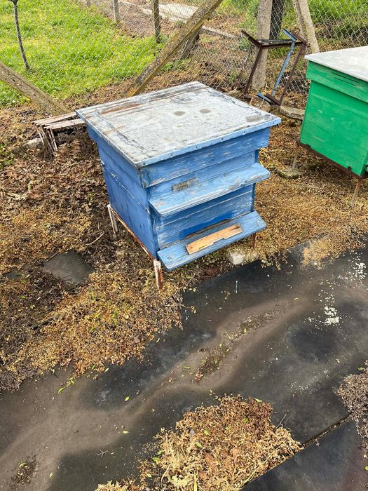 Кошери със магазини