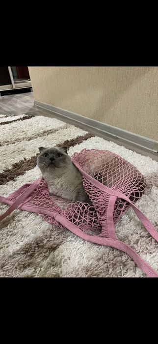 Продам ковер травка