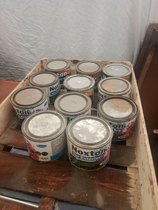 Светяший Краскалар бор