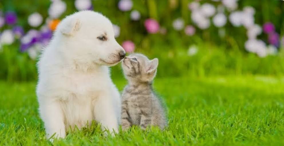 Врач с выездом на дом