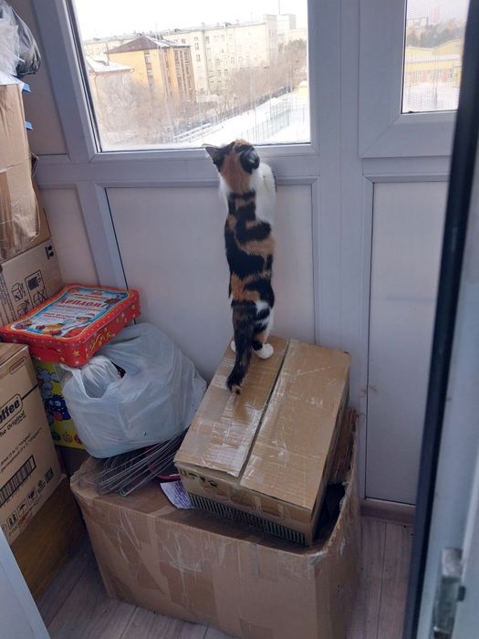 Отдам детские вещи