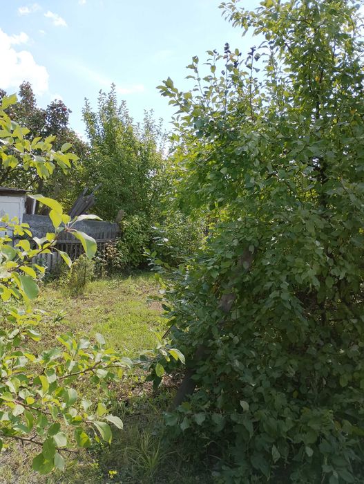 дача Сад Металлург 6 сот