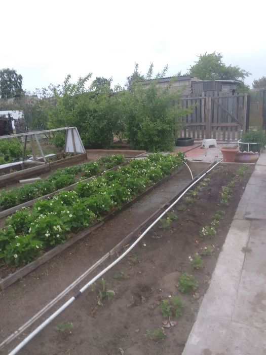 Продам дачу Сад Здоровье