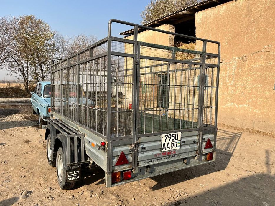 Rossiya pirisip yeni 150 yzuligi 305