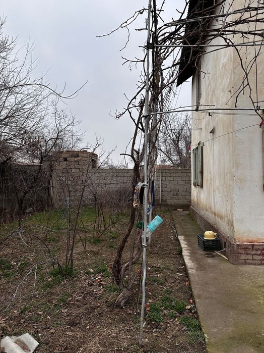 Дача в Чирчике с пропиской