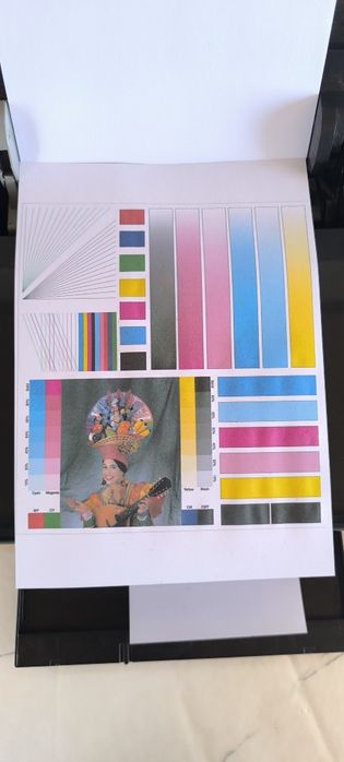 Epson L800 для дома