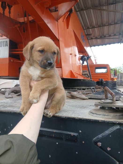 Малыш ждет свою семью!